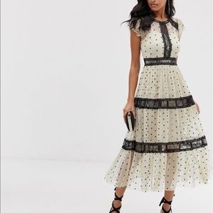 midi dress in spotty mesh